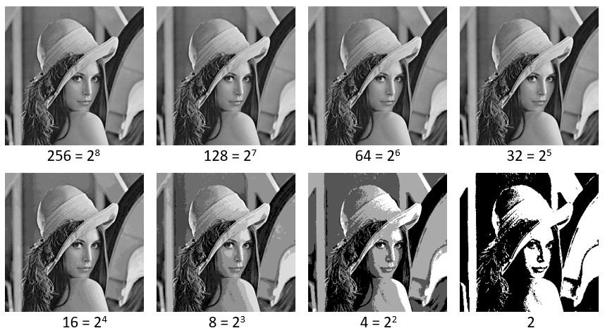 ../_images/quantif.png