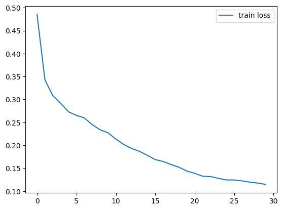 Training curve