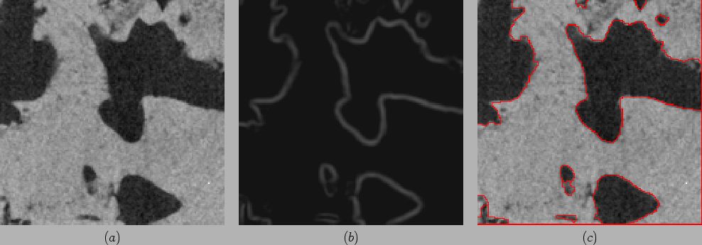 \begin{figure}\begin{center}
\begin{tabular}{c c c}
\epsfig{figure=/home/coust...
...=7.0cm} \\
$(a)$ & $(b)$ & $(c)$\
\end{tabular}
\end{center}\end{figure}