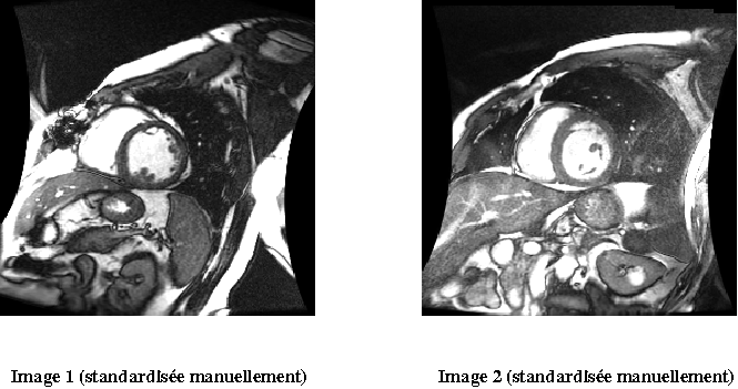 Fig2