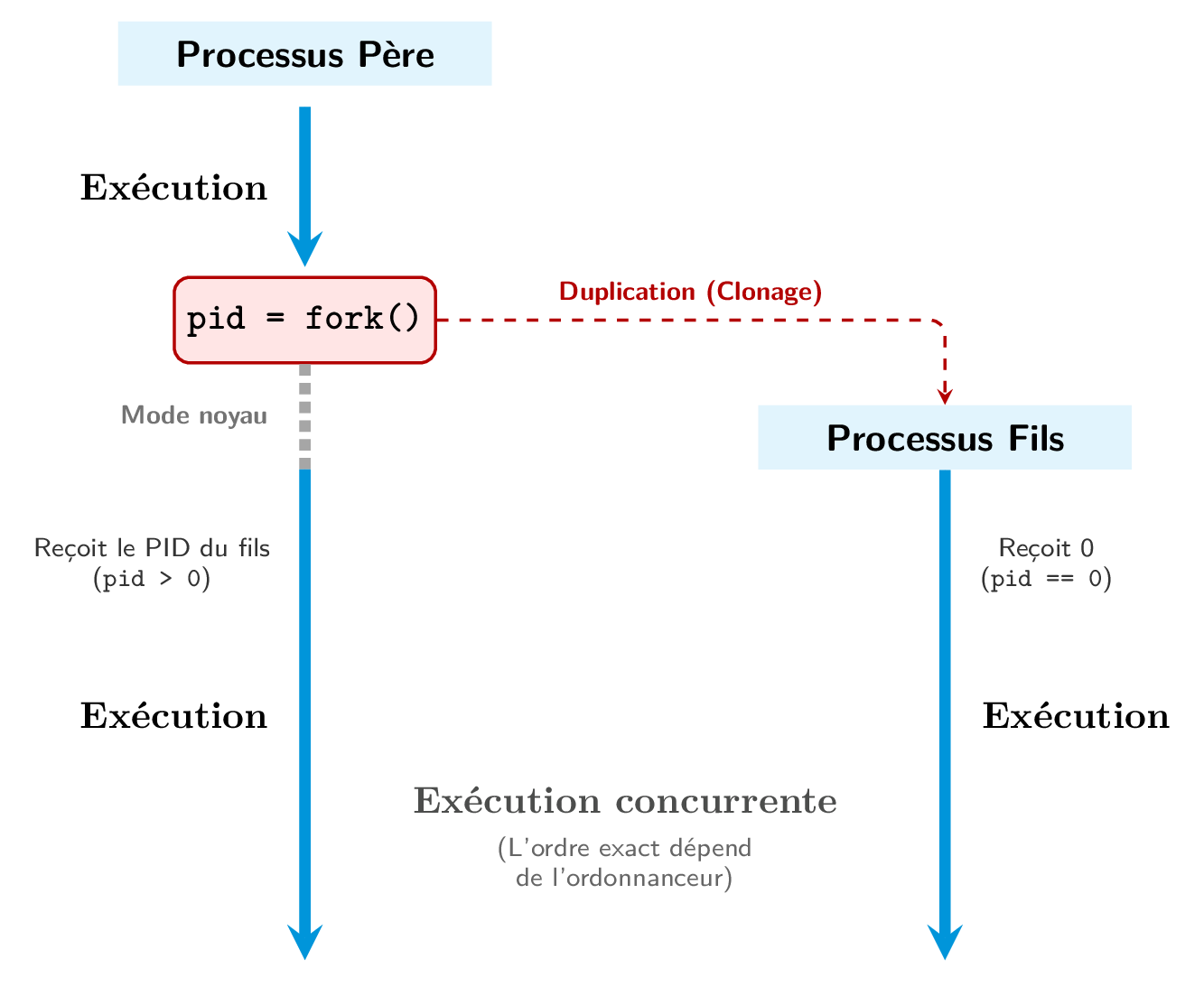 Schéma chronologique du mécanisme de création de processus via fork()