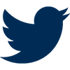 icone twittter