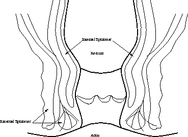 figure23
